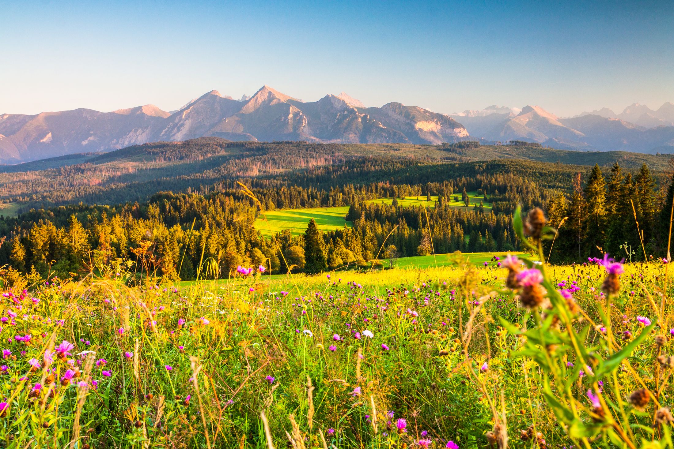 Blick auf das Šar-Gebirge